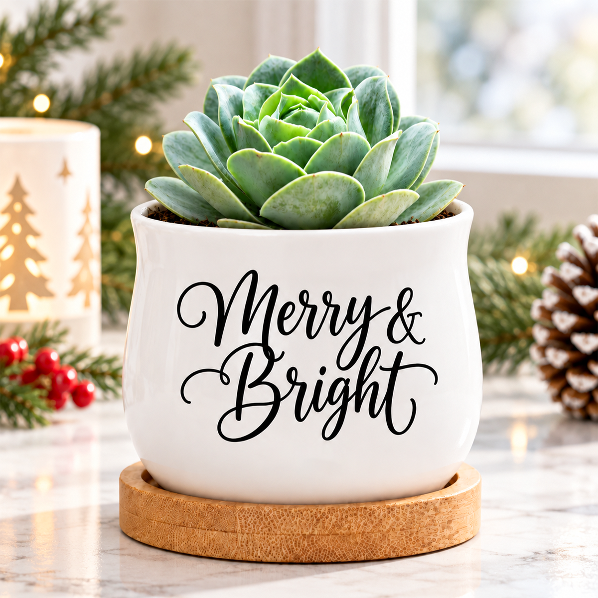 buy Succulent Pot - Merry & Bright online, white glazed ceramic with festive design, barrel shape, includes bamboo drainage tray, ideal for mini plant displays or holiday decor