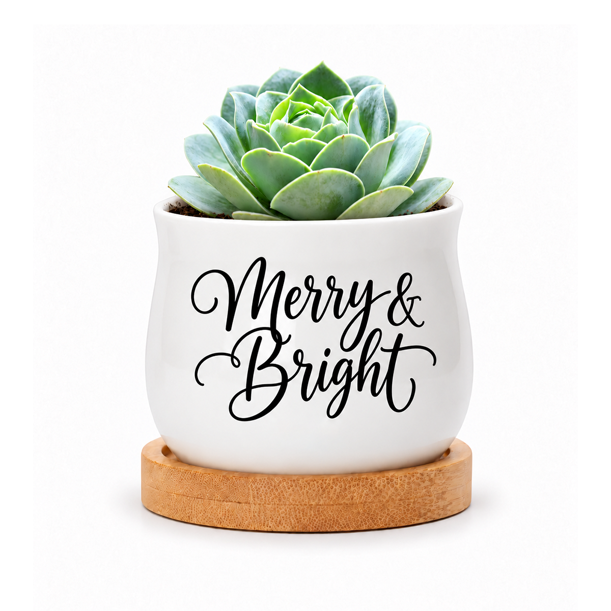 buy mini ceramic Succulent Pot - Merry &amp; Bright online, glazed white finish with cheerful seasonal design, compact size, comes with matching bamboo tray, great for plant lovers and home decorators