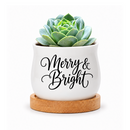 buy mini ceramic Succulent Pot - Merry &amp; Bright online, glazed white finish with cheerful seasonal design, compact size, comes with matching bamboo tray, great for plant lovers and home decorators
