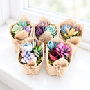 Buy Mini Succulent Favors in Burlap online. Charming mini succulents wrapped in natural burlap, perfect for weddings, parties, baby showers, and gifts.
