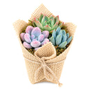 Buy Mini Succulent Favors in Burlap online. Charming mini succulents wrapped in natural burlap, perfect for weddings, parties, baby showers, and gifts.