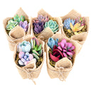 Buy Mini Succulent Favors in Burlap online. Charming mini succulents wrapped in natural burlap, perfect for weddings, parties, baby showers, and gifts.