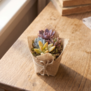 Buy Mini Succulent Favors in Burlap online. Charming mini succulents wrapped in natural burlap, perfect for weddings, parties, baby showers, and gifts.