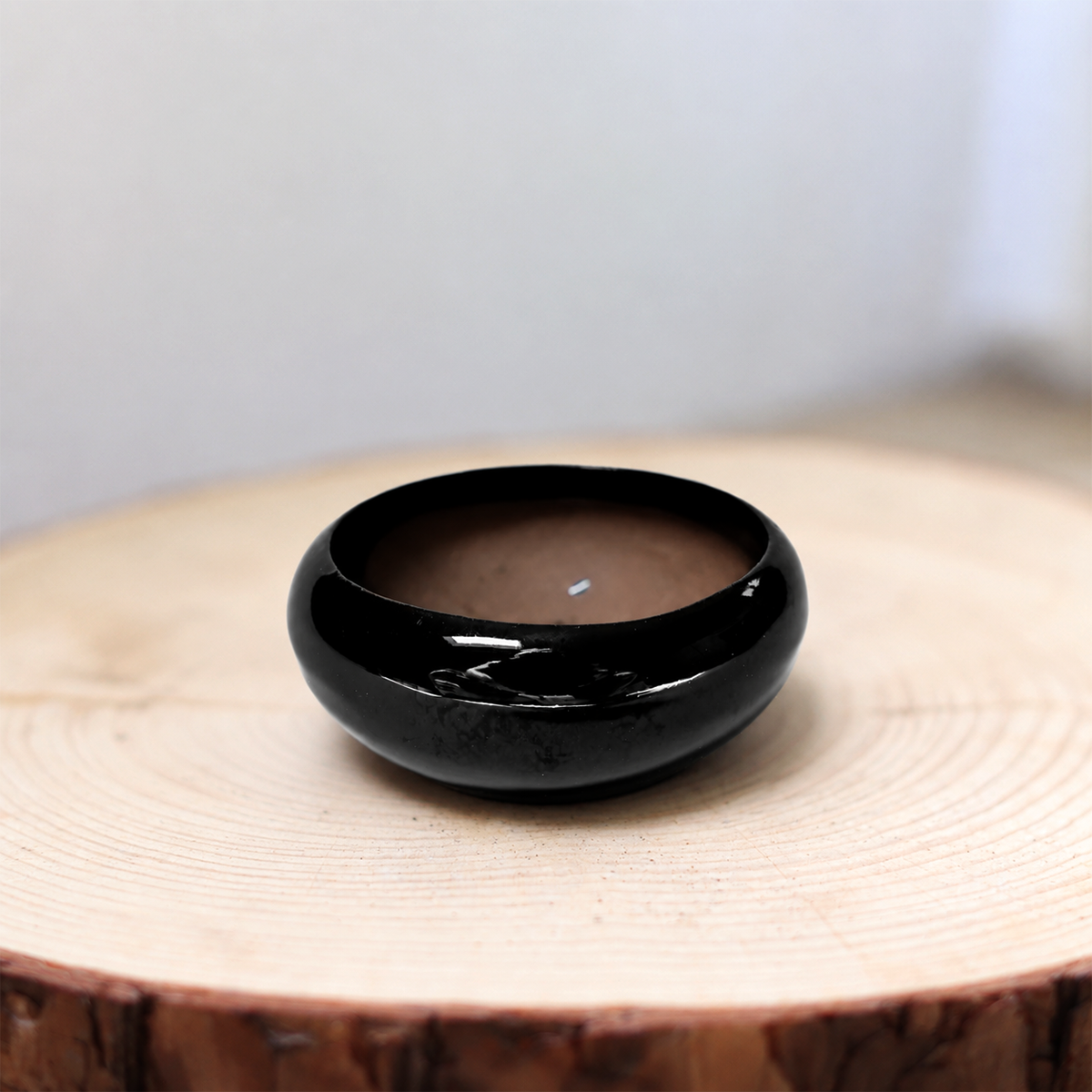 buy miniature black glazed tillandsia air plant dish live air plant 3-inch online, kiln-fired terracotta container with rich black glaze finish, unglazed base promotes essential air circulation, showcases compact rosette-form silvery-green air plants, soil-free low-maintenance pet-safe epiphyte display, elegant bohemian shelf or tabletop decor accent, thoughtful unique indoor plant gift for any occasion