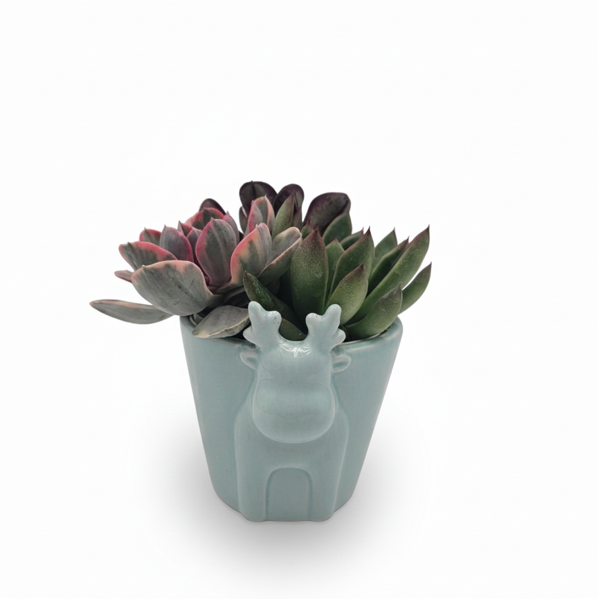 pot head succulent Mint Reindeer Ceramic Pot with Succulents Arrangement - Holiday Decor