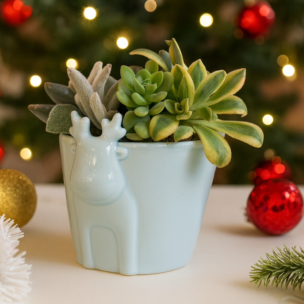 christmas ceramic plant pots Mint Reindeer Ceramic Pot with Succulents Arrangement - Holiday Decor