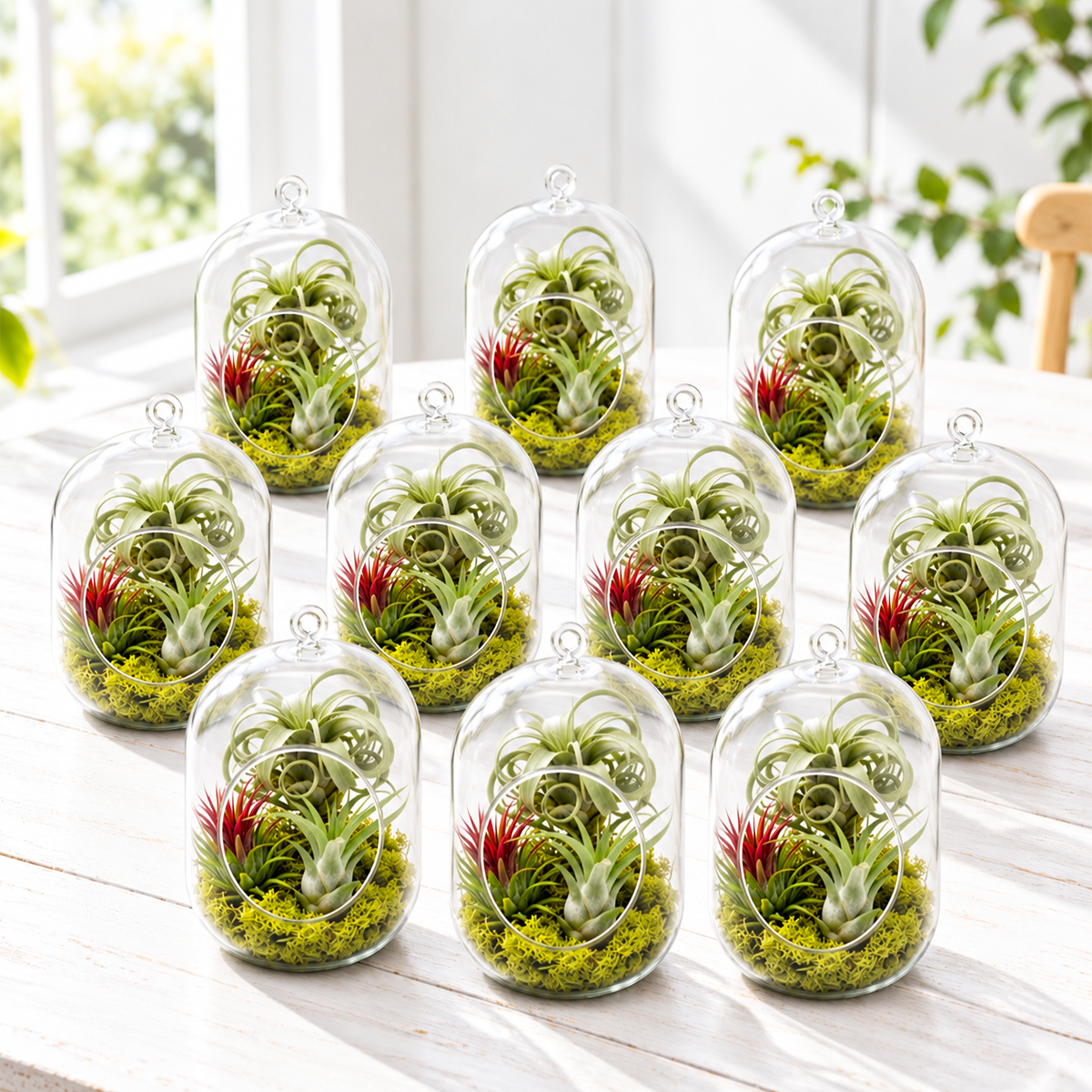 ten clear capsule-shaped glass terrariums filled with green moss and air plants, suspended by thin wire hangers, arranged in a cluster displaying varied plant textures and sizes against a neutral background
