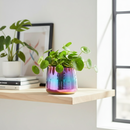 Rainbow Glaze Planter, Unique Flower Vase, Artisanal Stoneware Pot for Succulent and Houseplant Decor