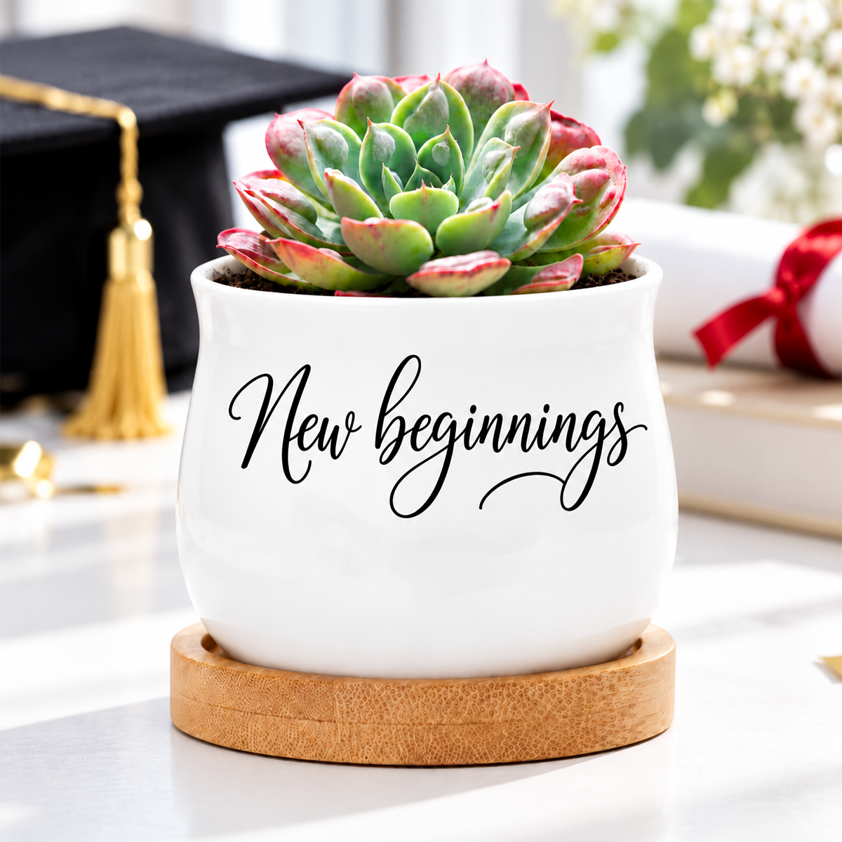 buy Succulent Pot - New beginnings online, white ceramic barrel-shaped planter, includes natural bamboo drainage tray, desktop-sized pot with drainage hole, ideal for gifting