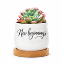 buy Succulent Pot - New beginnings online, ceramic mini planter with natural wood tray, gently curved design, functional drainage system included, charming desk decor or gift option