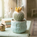 Custom plant pot with personalized image, personalized flower pot with live plant, custom photo plant pot, personalized planter with plant of your choice, custom printed ceramic planter, personalized succulent pot, custom image flower pot gift, custom photo planter for houseplants