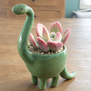 8-pack of 2" live plants for sale. Pick eight favorite plants and enjoy a variety of compact plants in 2" pots. Great for plant collections, gifting, decorating small spaces, and indoor gardening.