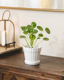 white ceramic pot with saucer, pot with drainage hole for indoor houseplants, stylist decorative pot, pot for small and medium plants