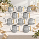 gray pot style Pack of Personalized Metal Watering Can - Sometimes I Wet My Plants for sale, weathered zinc finish, heavy duty iron alloy, steady flow nozzle, ideal for desktop gardens, thoughtful urban gardener offering