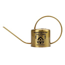 gold personalized watering can new home for sale, warm metallic gold color with a smooth lustrous surface, compact and elegantly shaped body, custom engraved design for a personalized touch, perfect for small houseplants and decorative displays, unique and thoughtful new home gift