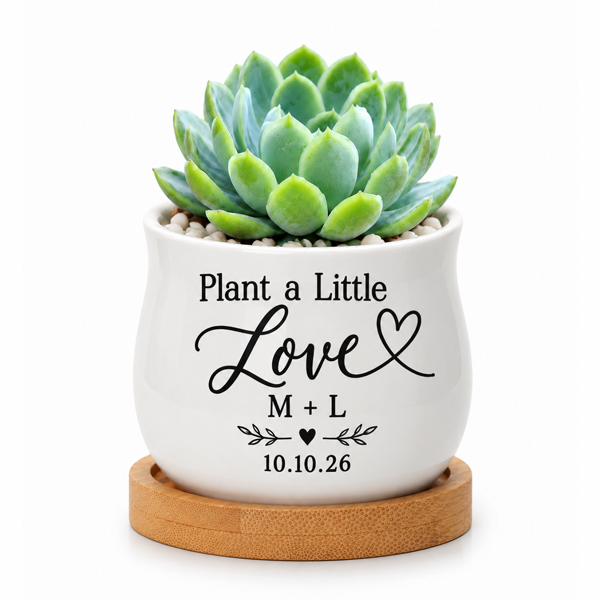 buy Personalized Succulent Pot for Wedding favor - Plant A Little Love online, miniature white pot displayed with small succulent, natural wood base tray included, personalized inscription example, charming wedding keepsake
