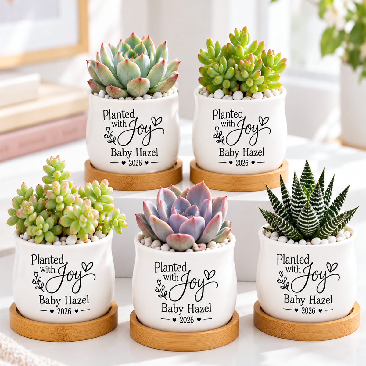 buy Pack of Personalized Succulent Pot for Baby Shower Favor - Planted With Joy online, white glazed ceramic barrel-shaped mini pot, natural bamboo drainage tray included, custom personalized with baby name and date, perfect keepsake baby shower guest favor