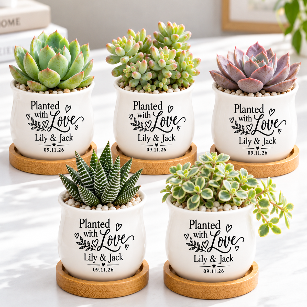 buy Pack of Personalized Succulent Pot for Wedding favor - Planted With Love online, white glazed ceramic barrel-shaped mini pot, bamboo drainage tray included, personalized with couple names and event date, perfect wedding guest gift