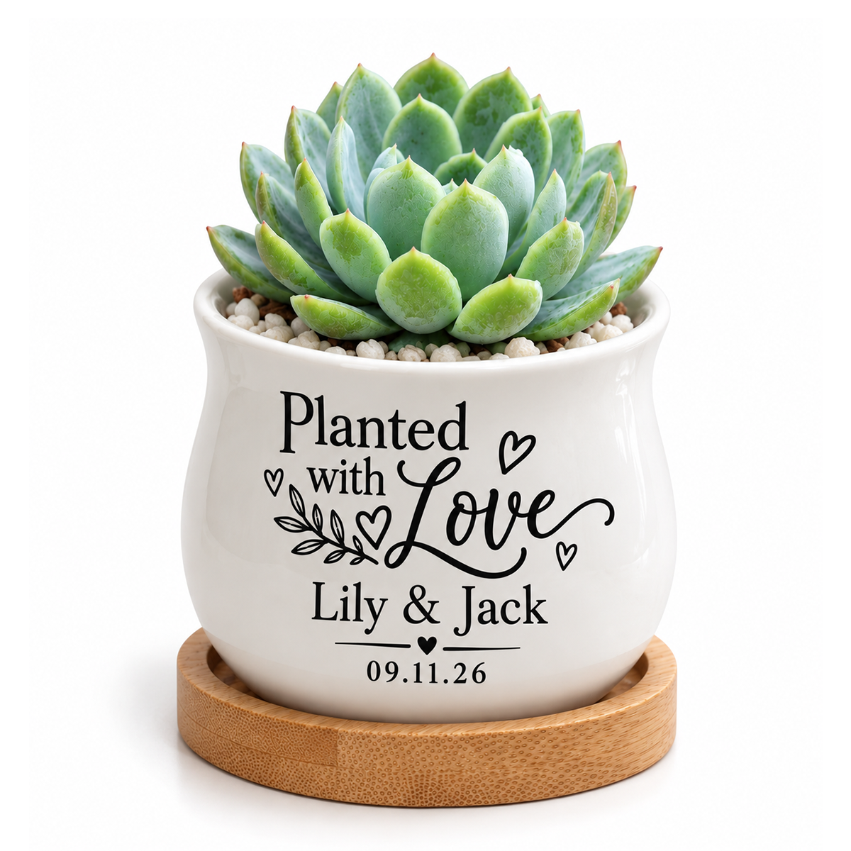 white Personalized Succulent Pot for Wedding favor - Planted With Love for sale, mini barrel planter with custom personalization, includes bamboo drainage base, versatile décor piece for weddings and couples, works as candle holder or small arrangement display