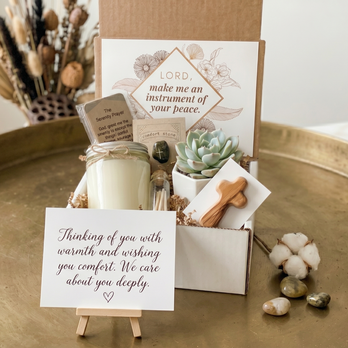 send prayer plant as gift Prayer Gift Box with Succulent & Handwritten Note Simple by Succulents Box