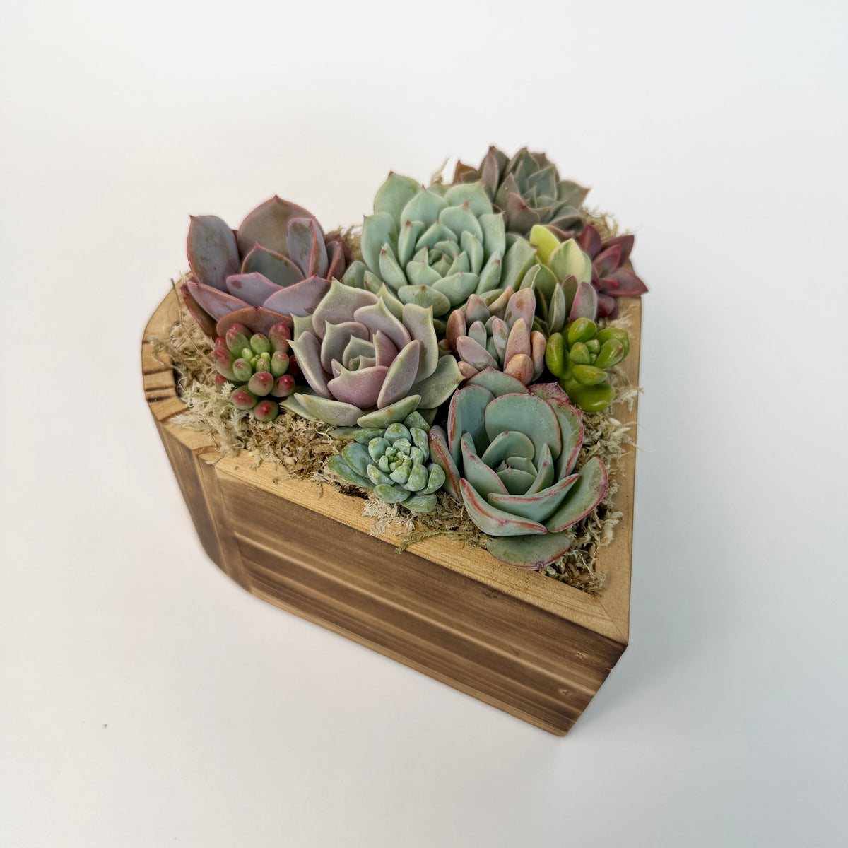 A heart-shaped wooden planter filled with an assortment of colorful rosette succulents on a white background