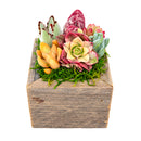Buy Reclaimed Wood Square Box Mini Succulent Arrangement online. A charming mini succulent arrangement displayed in a rustic reclaimed wood square box, perfect for gifts and home decor.