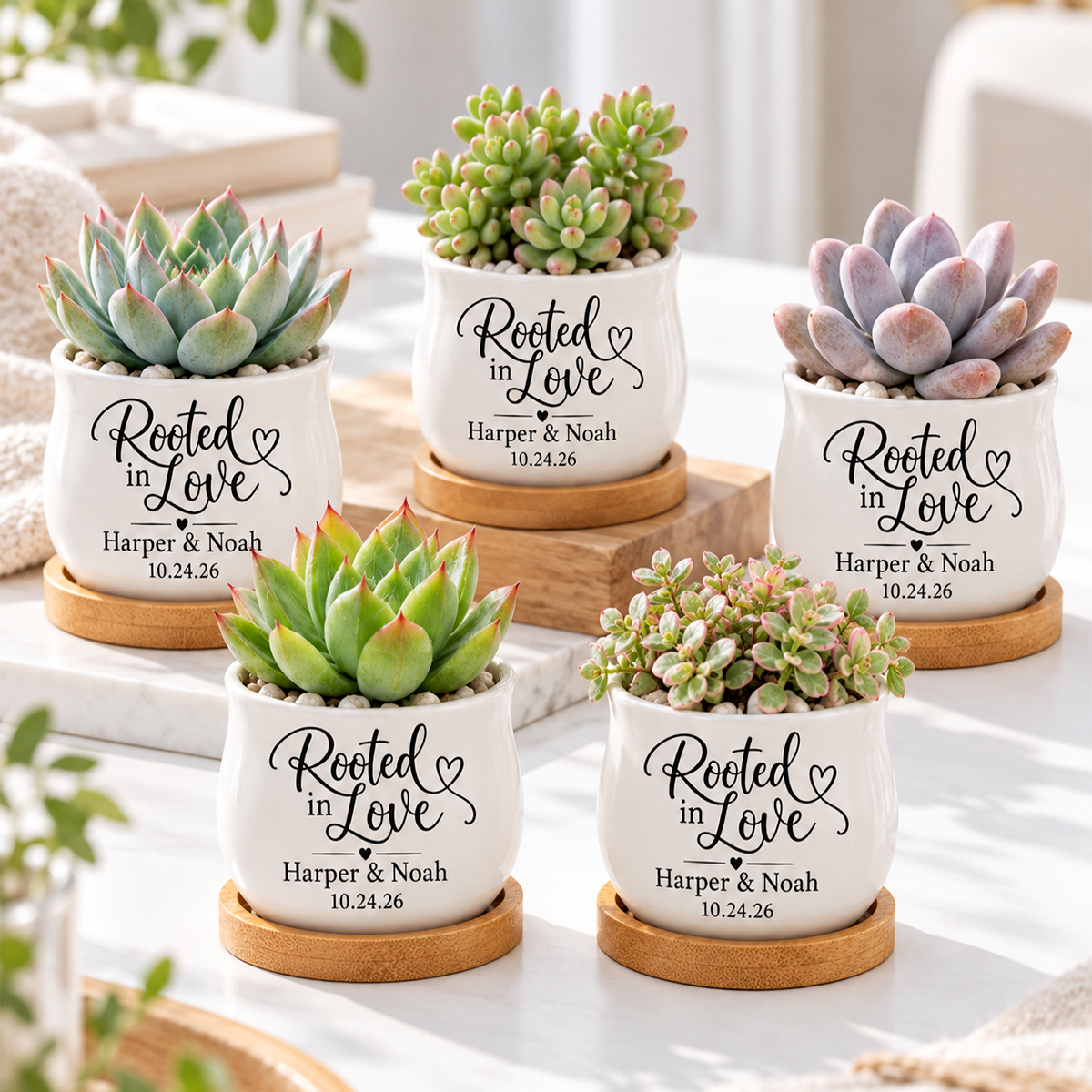 buy Pack of Personalized Succulent Pot for Wedding favor - Rooted In Love online, white glazed ceramic barrel-shaped mini pot, includes bamboo drainage tray, custom printed with couple names and date, ideal wedding favor gift keepsake
