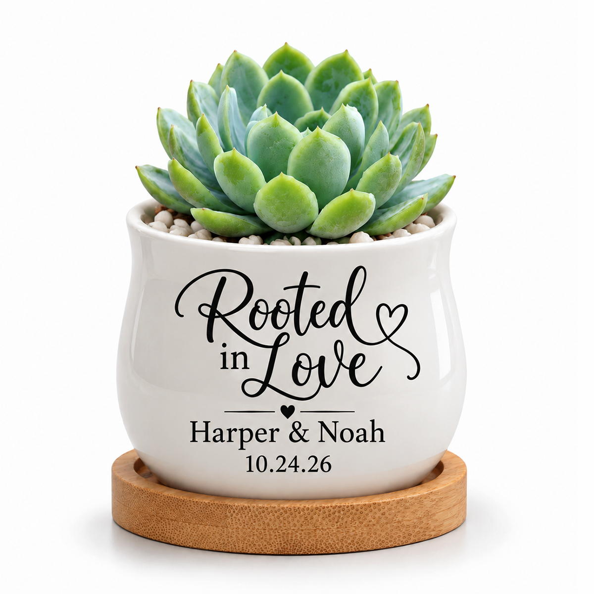 white barrel ceramic personalized succulent pot for wedding favor rooted in love for sale, mini planter holds dried botanicals or candle, custom printed names and event date, sweet favor keepsake for guests