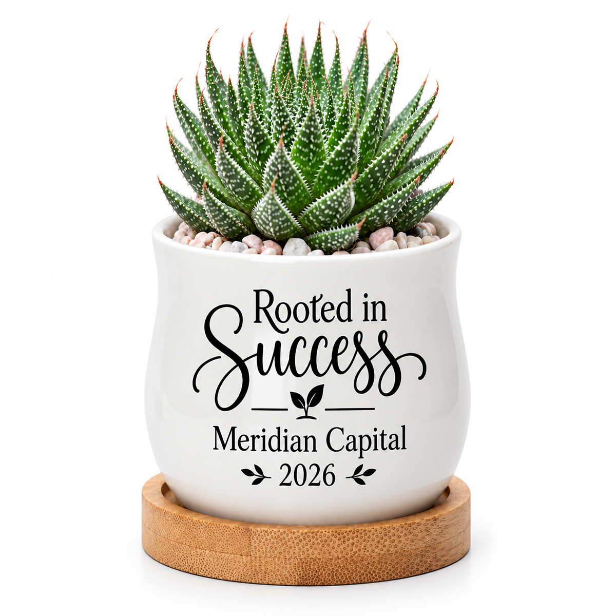 ceramic Personalized Succulent Pot for Corporate Favor - Rooted In Success for sale, compact 2.6 inch white barrel planter with custom printing, includes bamboo catchment tray, tabletop or desk accessory, great for employee recognition gifts