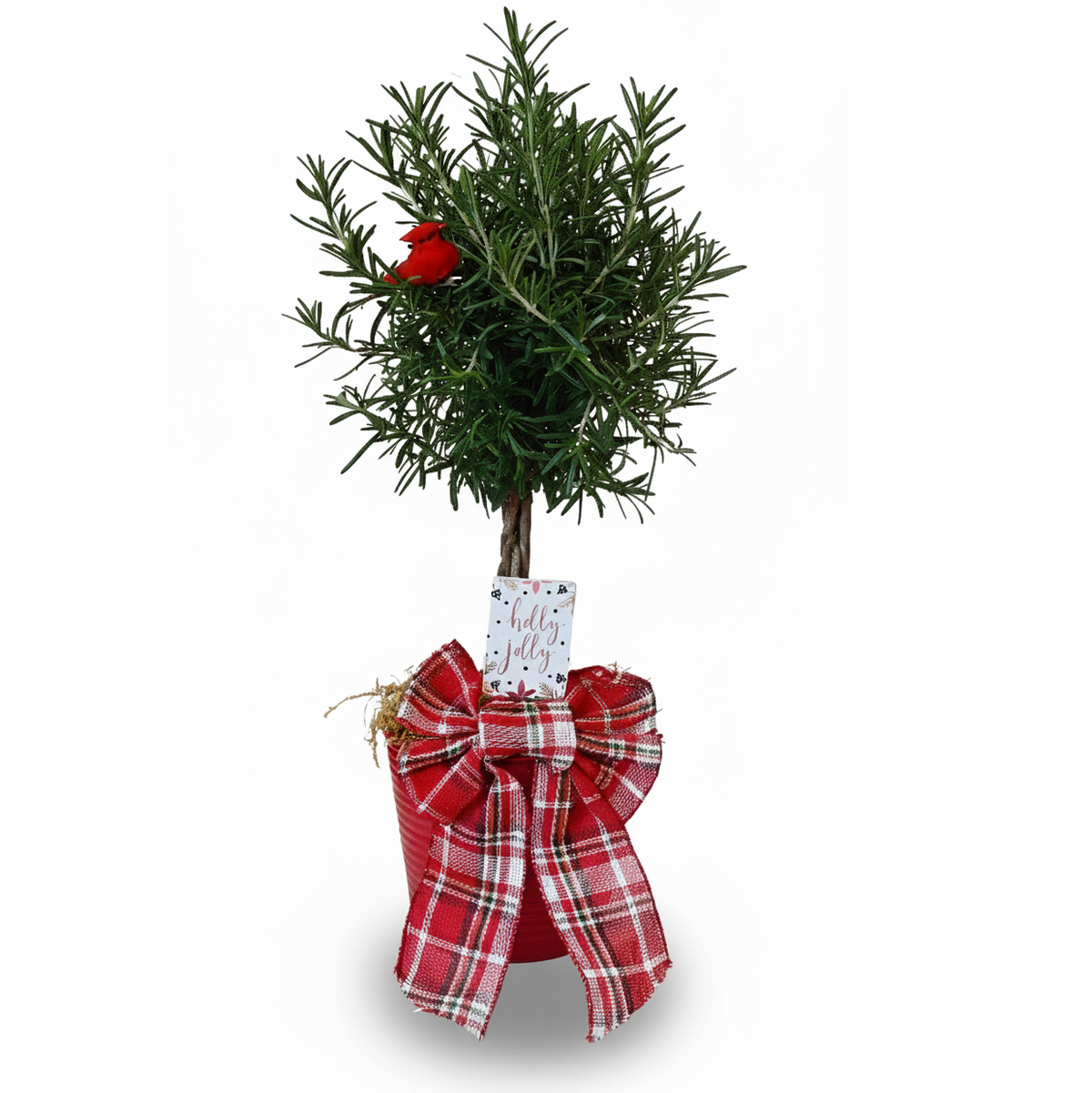 christmas gifts 2025, christmas gifts for women, gift ideas for female friend, holiday decor ideas