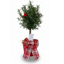 trending gifts 2025, best gifts 2025 for her, top christmas gifts for girls 2025, holiday decoration nearby