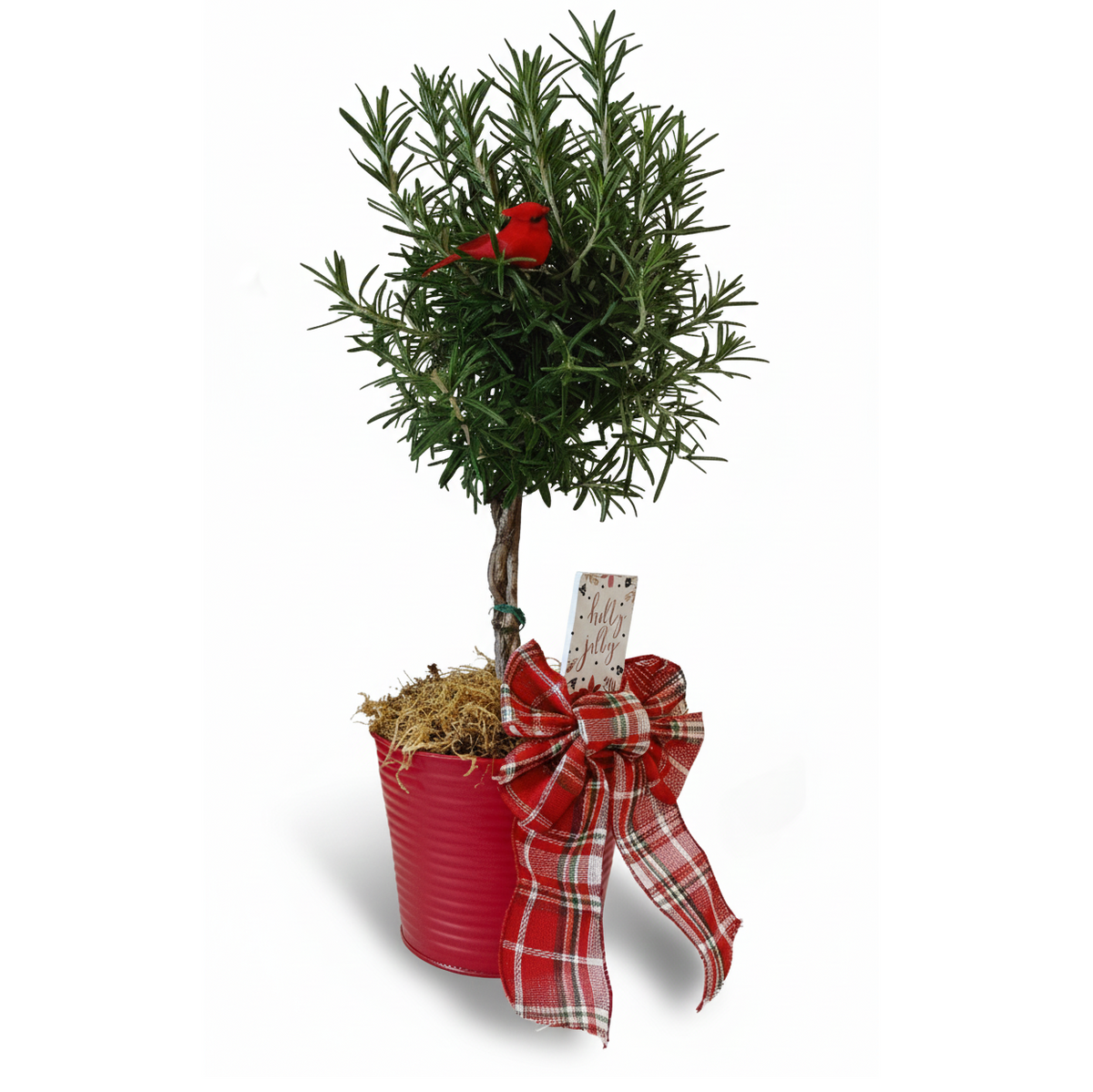 holiday gift ideas, christmas gift ideas 2025 for her, top christmas gifts for 2025, buy xmas gift online