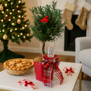 trending gifts 2025, best gifts 2025 for her, top christmas gifts for girls 2025, holiday decoration nearby