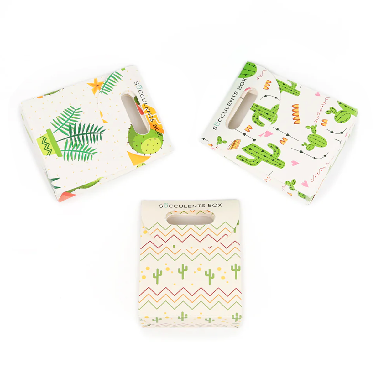 Printable: Succulent Summer Gift Bag