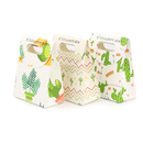 Printable: Succulent Summer Gift Bag