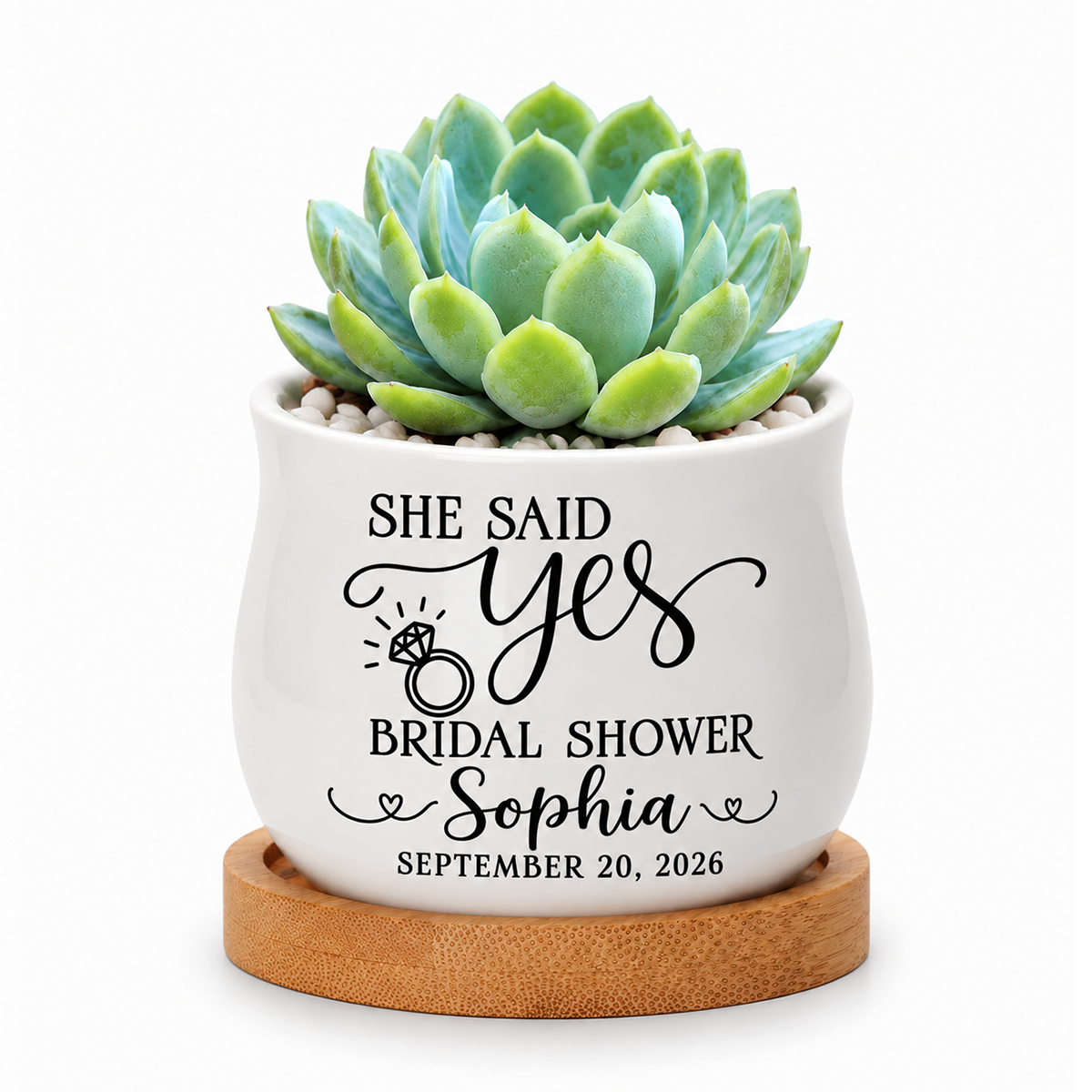 buy personalized ceramic succulent pot bulk bridal shower favor she said yes online, white matte finish with custom engraving, set of 12 pots with drainage holes, perfect for mass wedding favors and bridal celebrations, excellent bulk gift option for large bridal parties