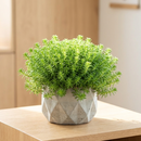 Custom plant pot with personalized image, personalized flower pot with live plant, custom photo plant pot, personalized planter with plant of your choice, custom printed ceramic planter, personalized succulent pot, custom image flower pot gift, custom photo planter for houseplants