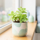 Custom plant pot with personalized image, personalized flower pot with live plant, custom photo plant pot, personalized planter with plant of your choice, custom printed ceramic planter, personalized succulent pot, custom image flower pot gift, custom photo planter for houseplants