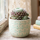 Custom plant pot with personalized image, personalized flower pot with live plant, custom photo plant pot, personalized planter with plant of your choice, custom printed ceramic planter, personalized succulent pot, custom image flower pot gift, custom photo planter for houseplants