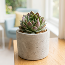 Custom plant pot with personalized image, personalized flower pot with live plant, custom photo plant pot, personalized planter with plant of your choice, custom printed ceramic planter, personalized succulent pot, custom image flower pot gift, custom photo planter for houseplants