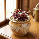 Custom plant pot with personalized image, personalized flower pot with live plant, custom photo plant pot, personalized planter with plant of your choice, custom printed ceramic planter, personalized succulent pot, custom image flower pot gift, custom photo planter for houseplants