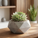 Custom plant pot with personalized image, personalized flower pot with live plant, custom photo plant pot, personalized planter with plant of your choice, custom printed ceramic planter, personalized succulent pot, custom image flower pot gift, custom photo planter for houseplants