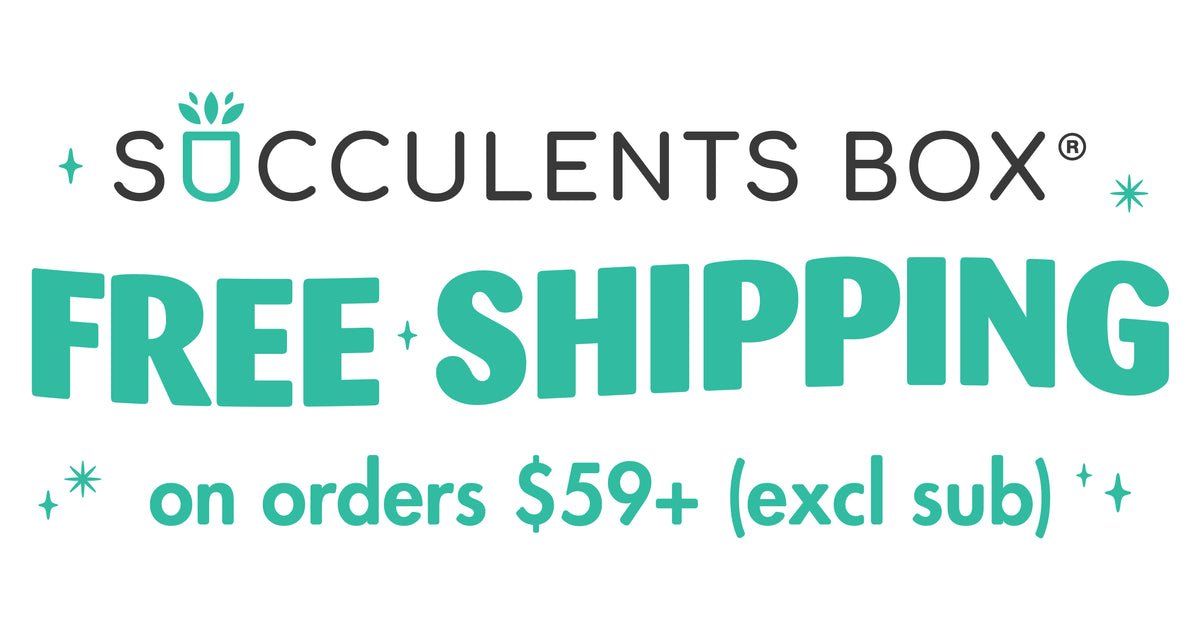 Succulents Box Coupons & Promo Codes