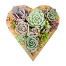 Buy Small 6.1" Succulent Heart Arrangement online. This decorative succulent centerpiece brings a touch of greenery to homes, offices, and special celebrations.