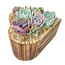 Buy Small 6.1" Succulent Heart Arrangement online. This decorative succulent centerpiece brings a touch of greenery to homes, offices, and special celebrations.