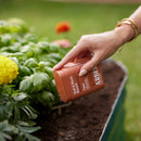 Organic Soil &amp; Root Food - Arber
