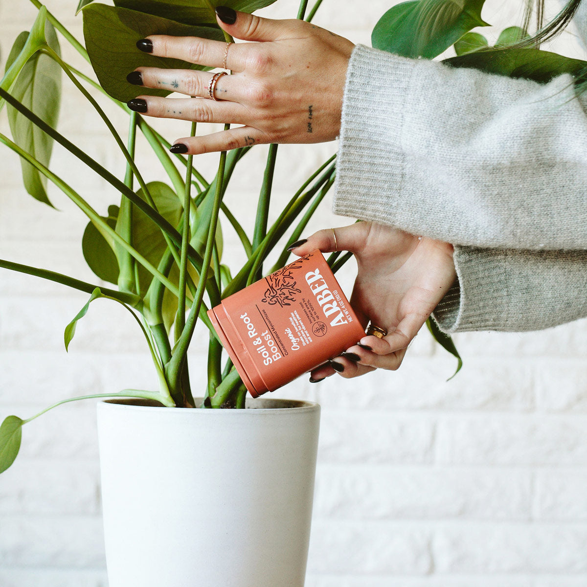 buy organic soil &amp; root boost online, beneficial microbe granules, concentrated blend, shake-on application, great for indoor and outdoor garden setups, thoughtful gift for gardeners
