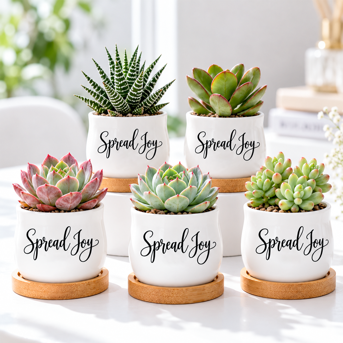 buy Pack of Succulent Pot - Spread Joy online, white glazed ceramic barrel-style mini pot, natural bamboo tray included, cheerful tabletop planter, ideal small gift for plant lovers and home decorators