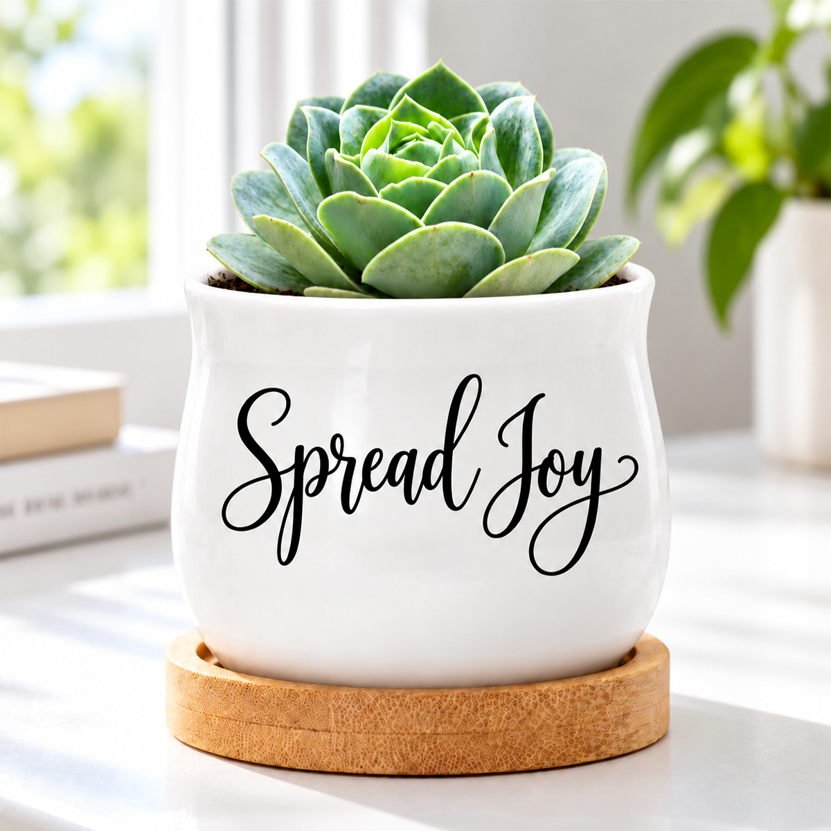 buy succulent pot - spread joy online, white ceramic mini planter with barrel shape, includes natural bamboo drainage tray, cute desktop accent, ideal gift for plant lovers