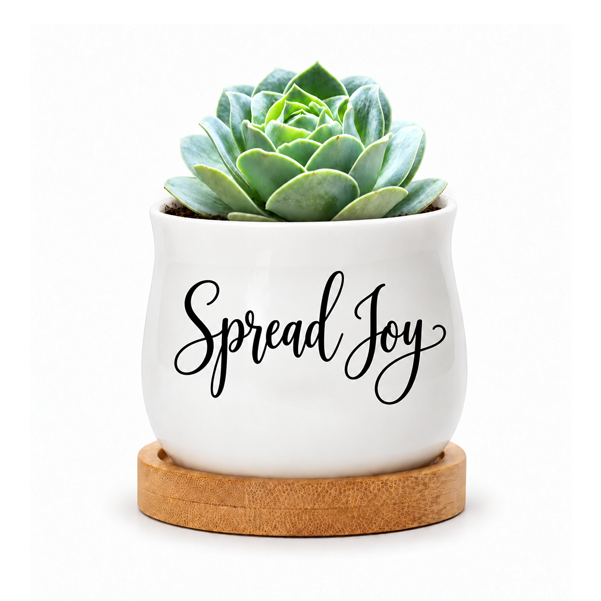 buy succulent pot - spread joy online, compact white ceramic pot for small plants or candles, includes bamboo tray for protection, decorative mini planter design, thoughtful gift for any occasion